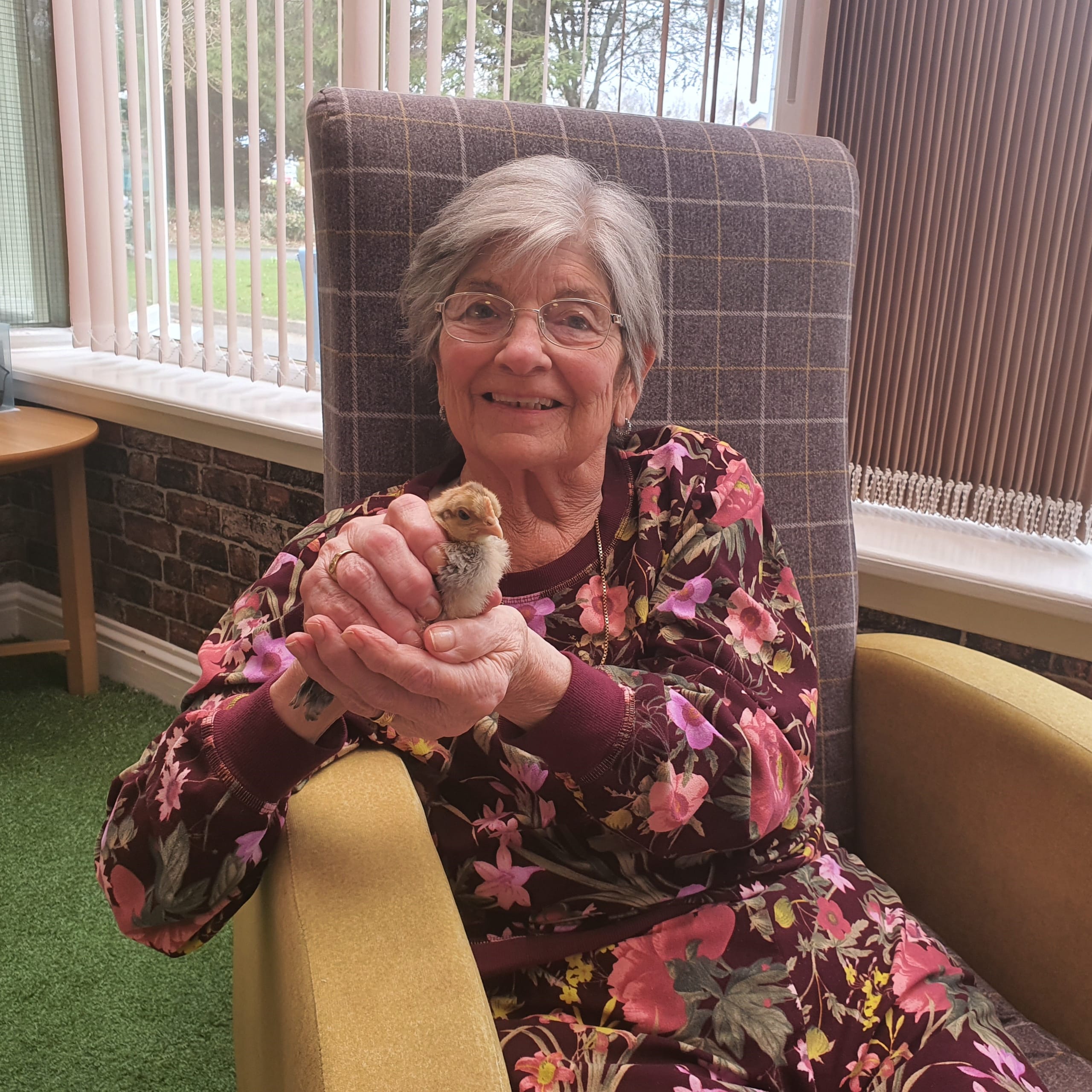 Shonda McMillan, resident of Avonbridge Care Home in Hamilton with one of the home's fluffy new chicks.