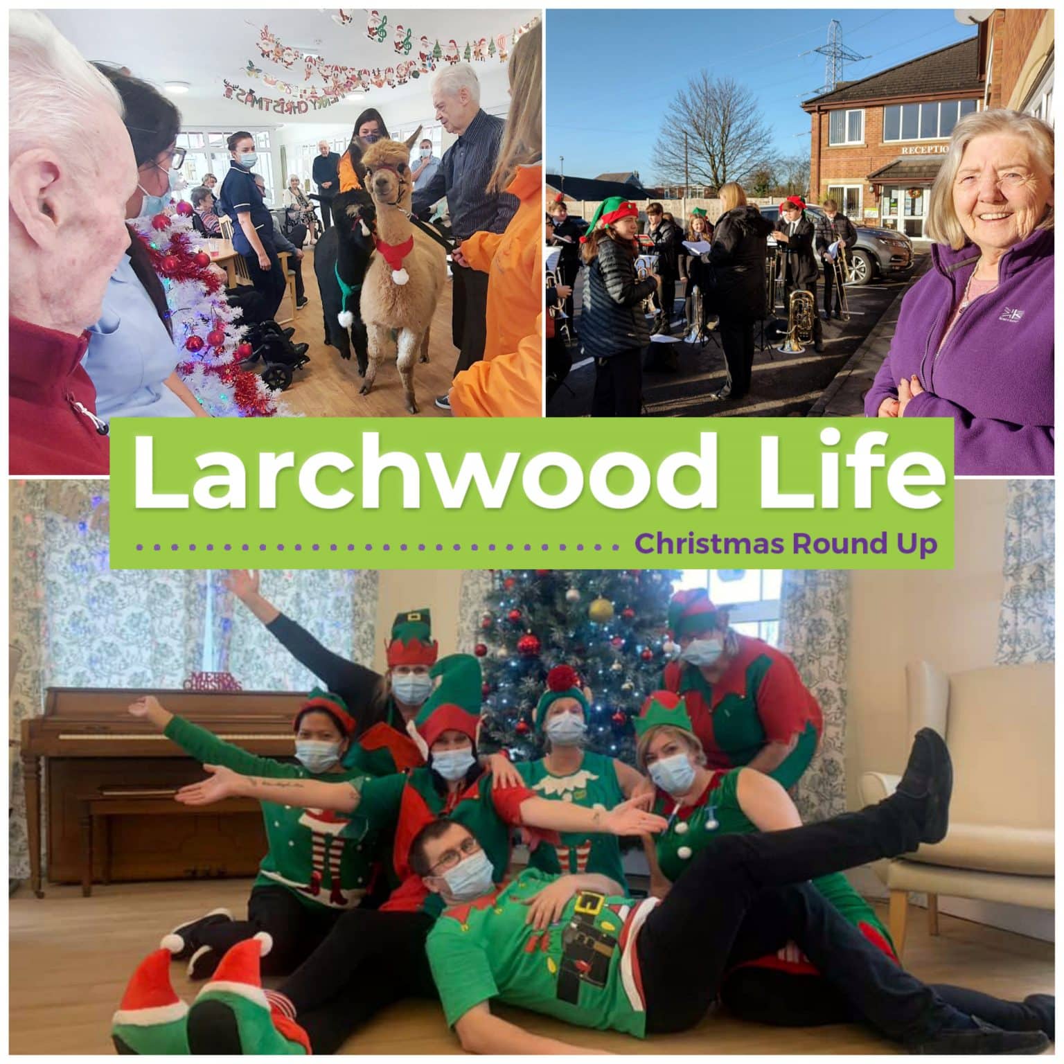 Larchwood Newsletter Christmas Round Up Larchwood Care