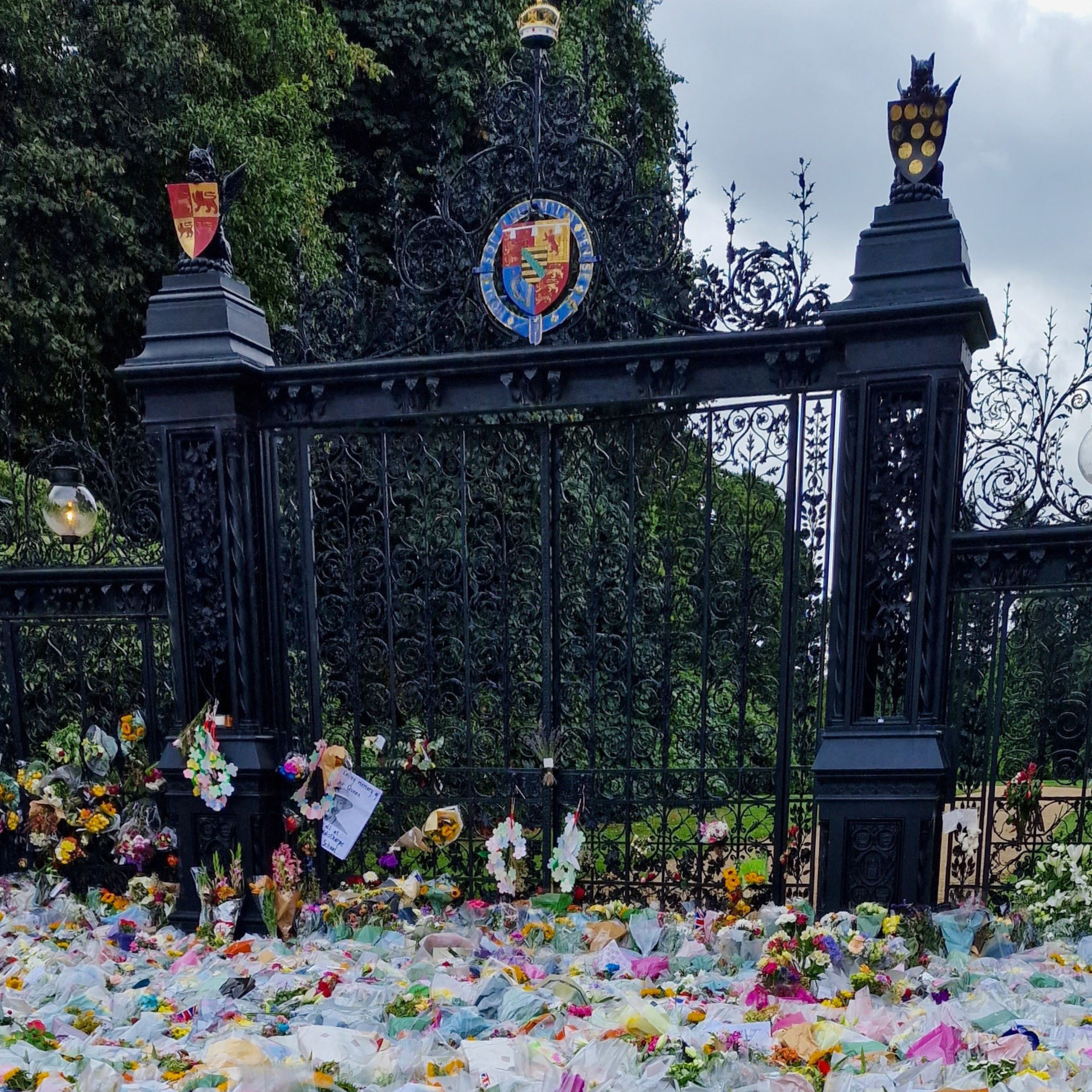 Moving Tributes and Reflection Across our Care Homes Larchwood Care