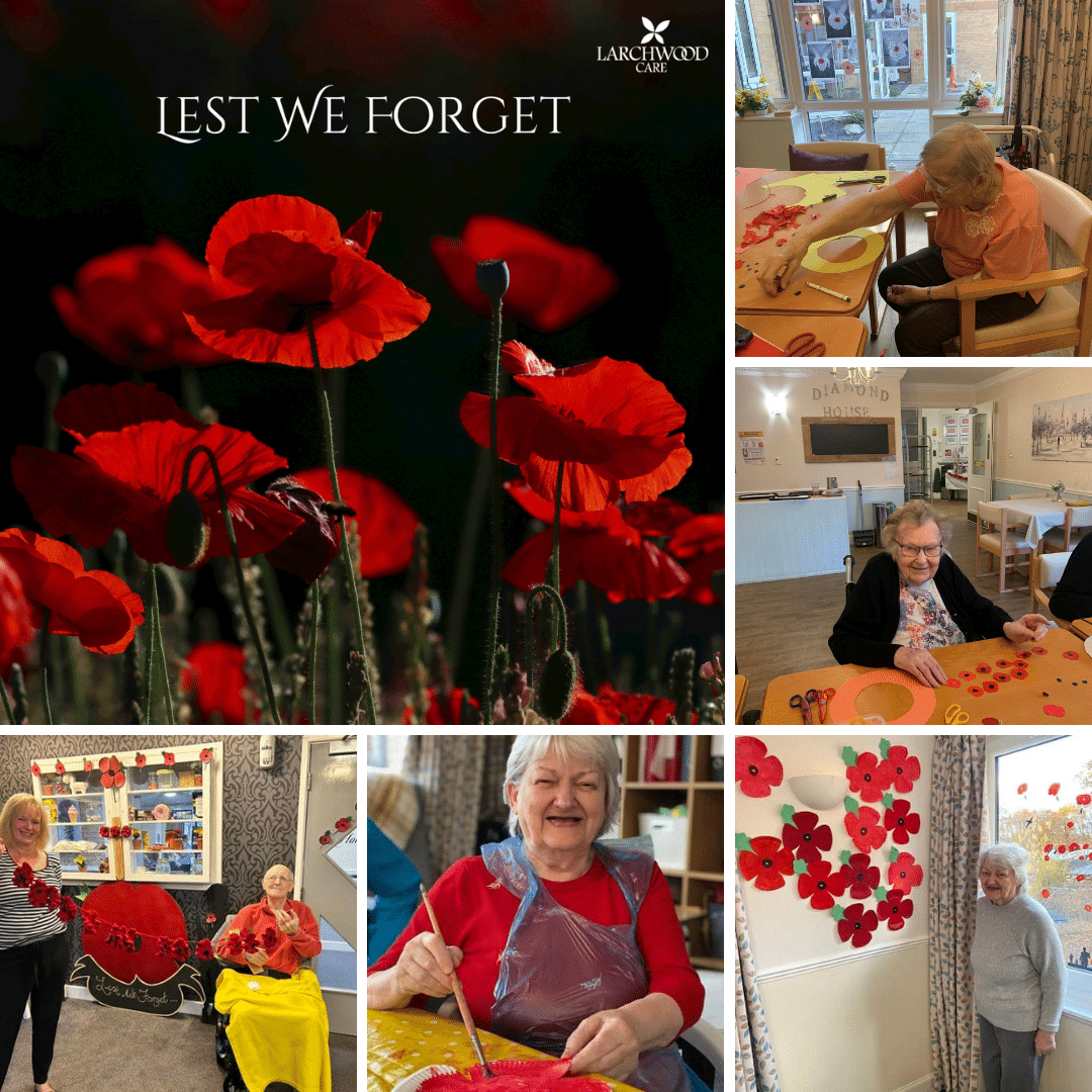 Remembrance Day Crafts